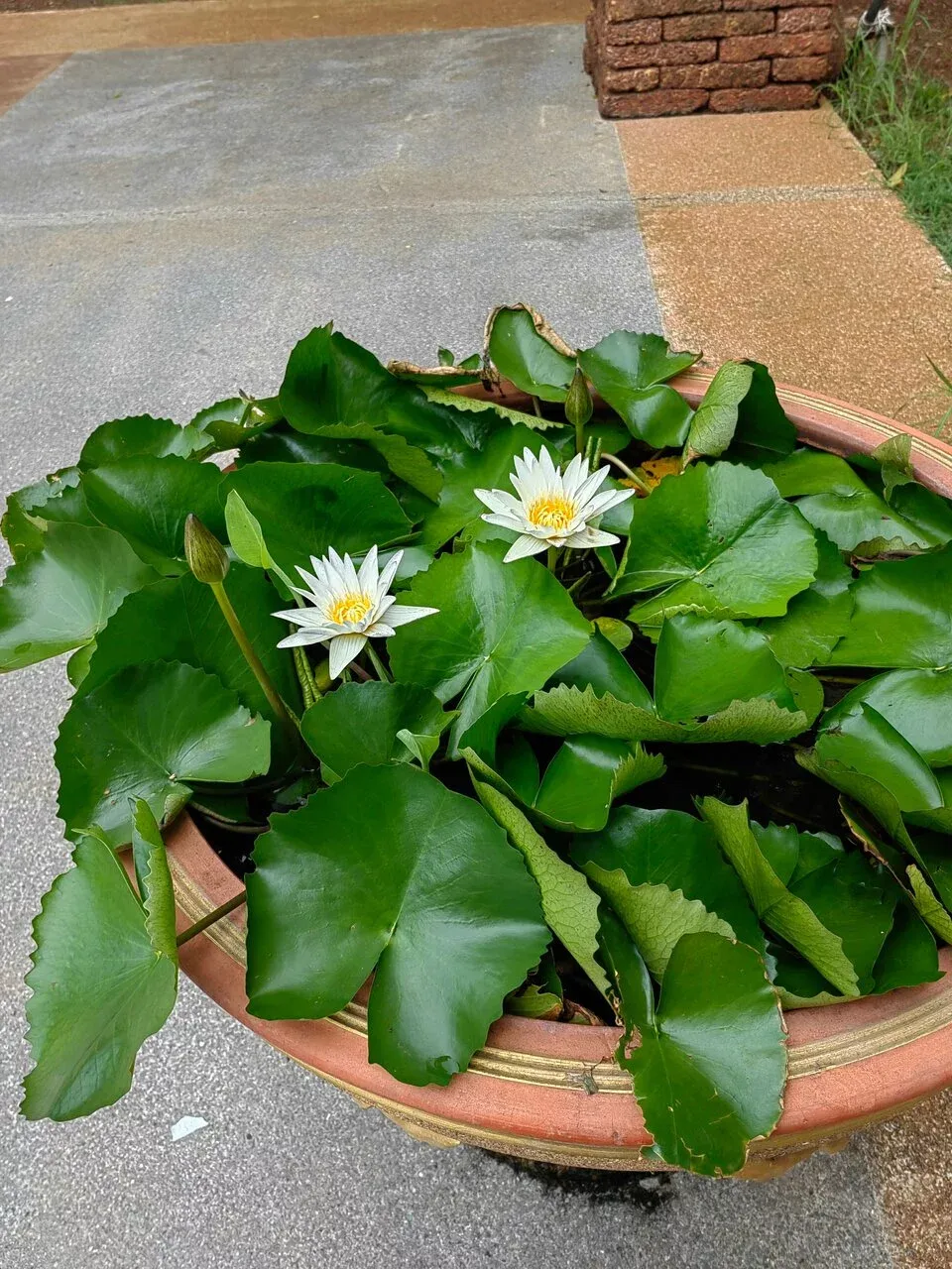 Фото отзыва от пользователя Ольга Фото отзыва от пользователя Ольга